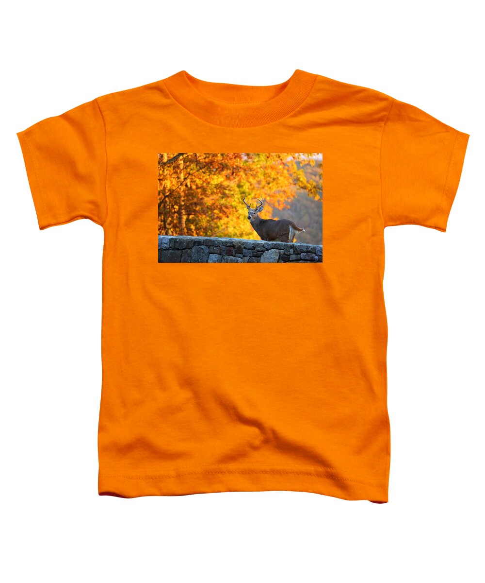 Metro Toddler T-Shirt featuring the photograph Buck in the Fall 07 by Metro DC Photography