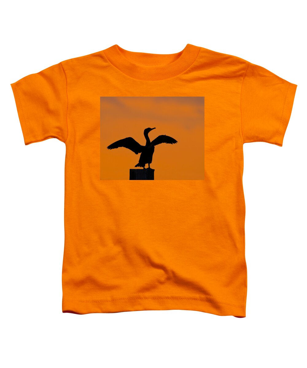 Double-crested Cormorant Toddler T-Shirt featuring the photograph Dawn of a Double-crested Cormorant by Tony Beck
