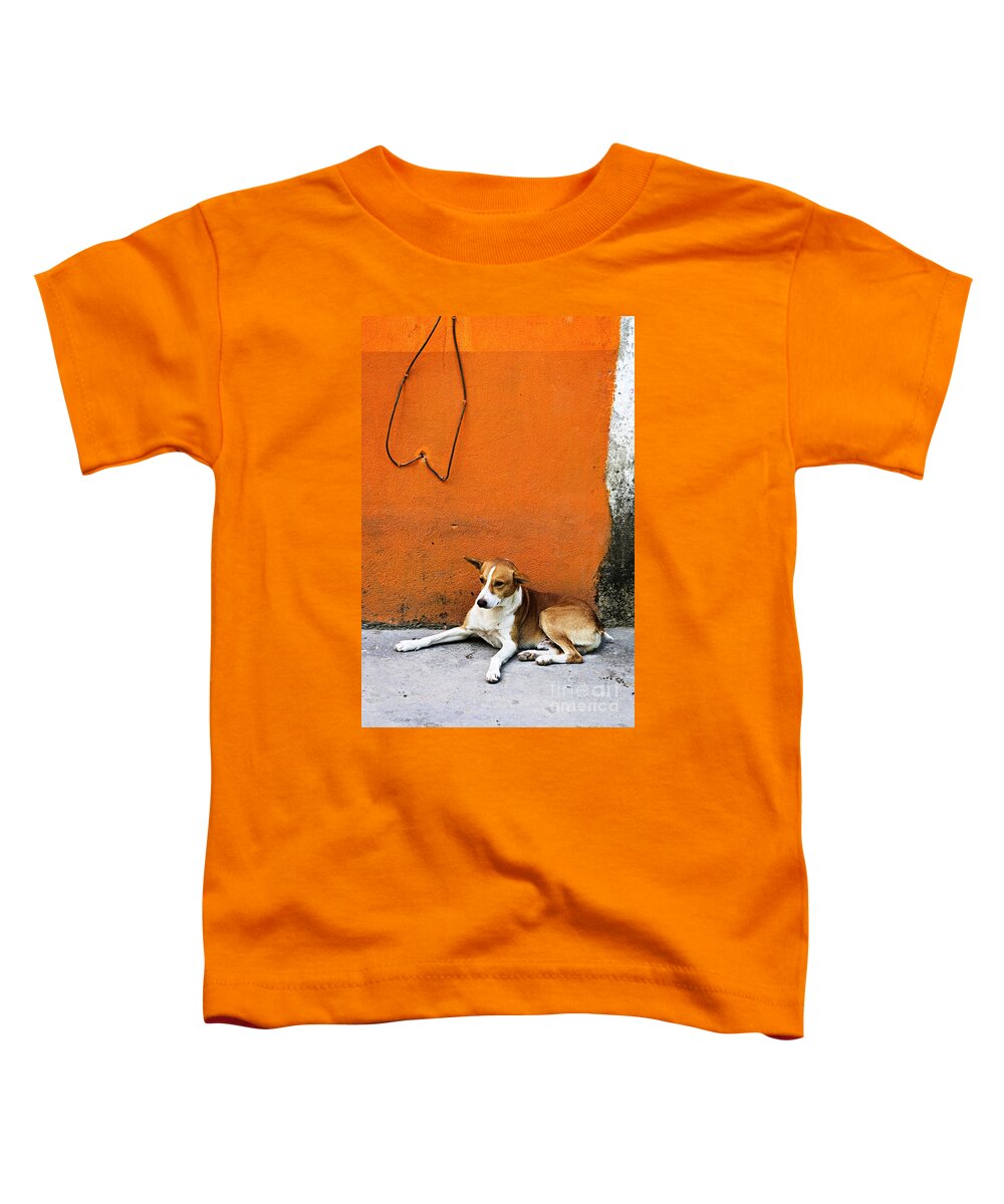 Dog Toddler T-Shirt featuring the photograph Dog near colorful wall in Mexican village by Elena Elisseeva
