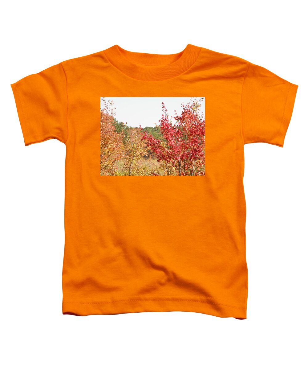 Fire Toddler T-Shirt featuring the photograph Fire Colors by Kim Galluzzo Wozniak
