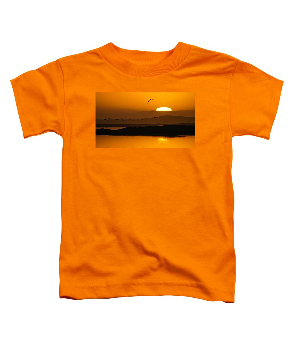 Africa Toddler T-Shirt featuring the photograph Firstlight flight by Alistair Lyne
