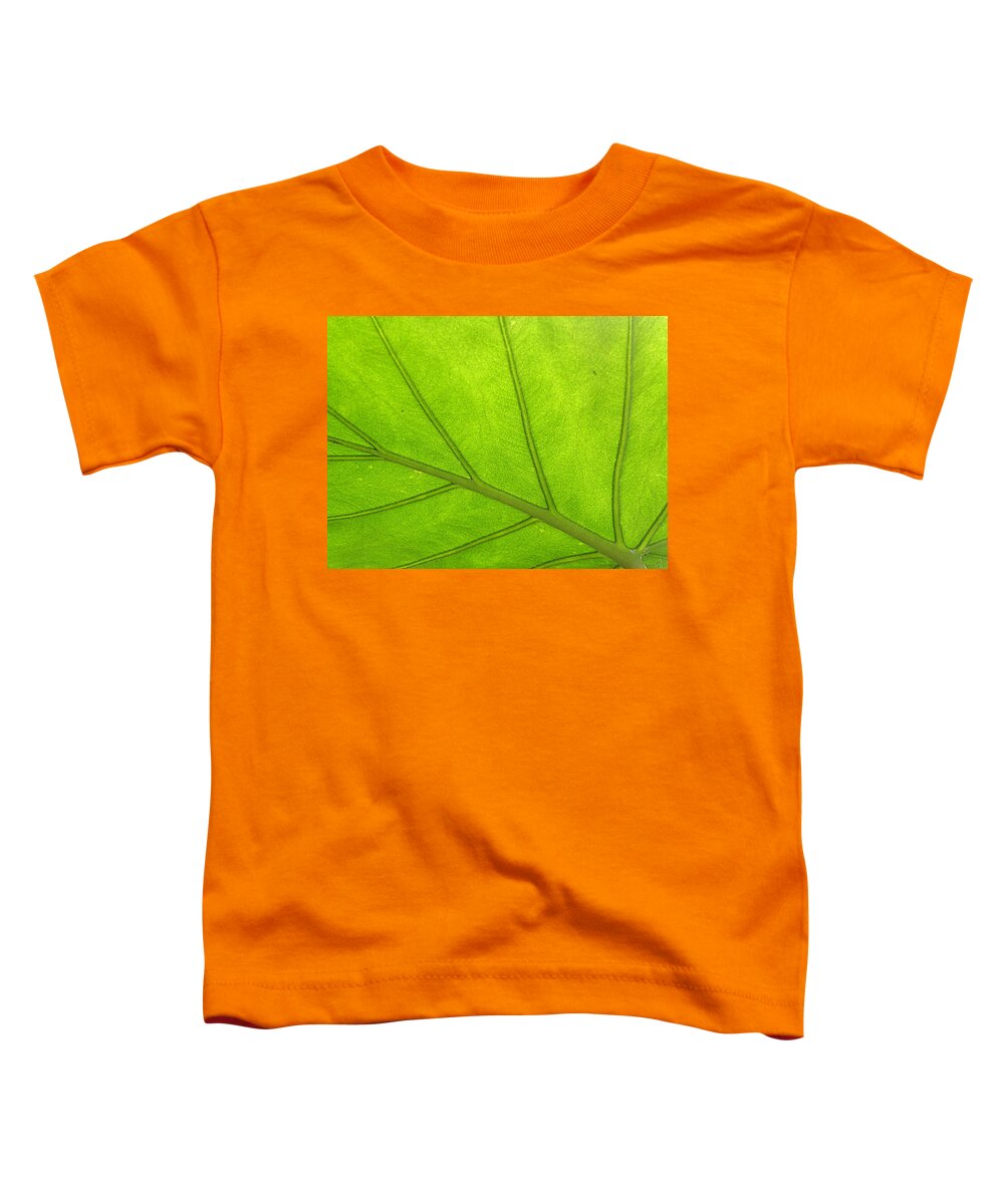 Tropical Leaf Toddler T-Shirt featuring the photograph From Below by Kim Galluzzo