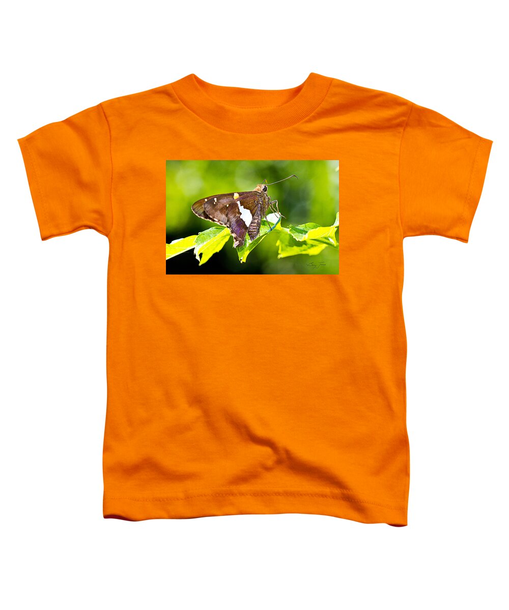 Butterfly Toddler T-Shirt featuring the photograph Morning Forage by Barry Jones