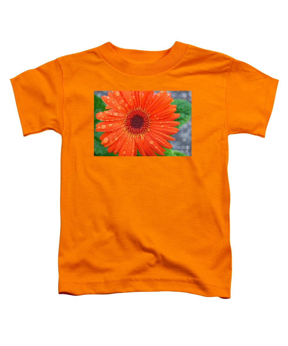 Orange Toddler T-Shirt featuring the photograph Orange Flower with Raindrops by Grace Grogan