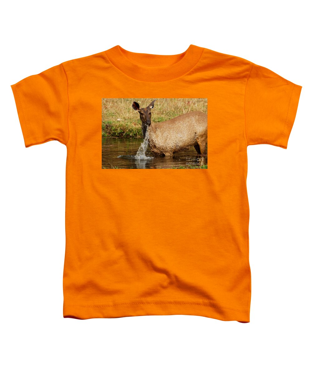 Bandhavgarh Toddler T-Shirt featuring the photograph Startled by Fotosas Photography