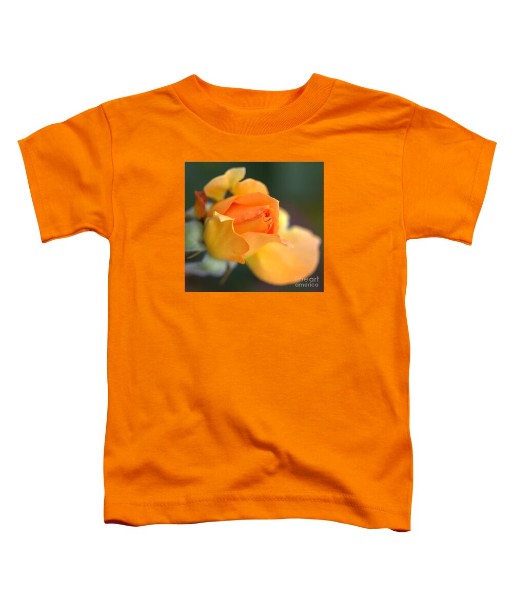 Rose Toddler T-Shirt featuring the photograph Apricot Glow #1 by Carol Komassa