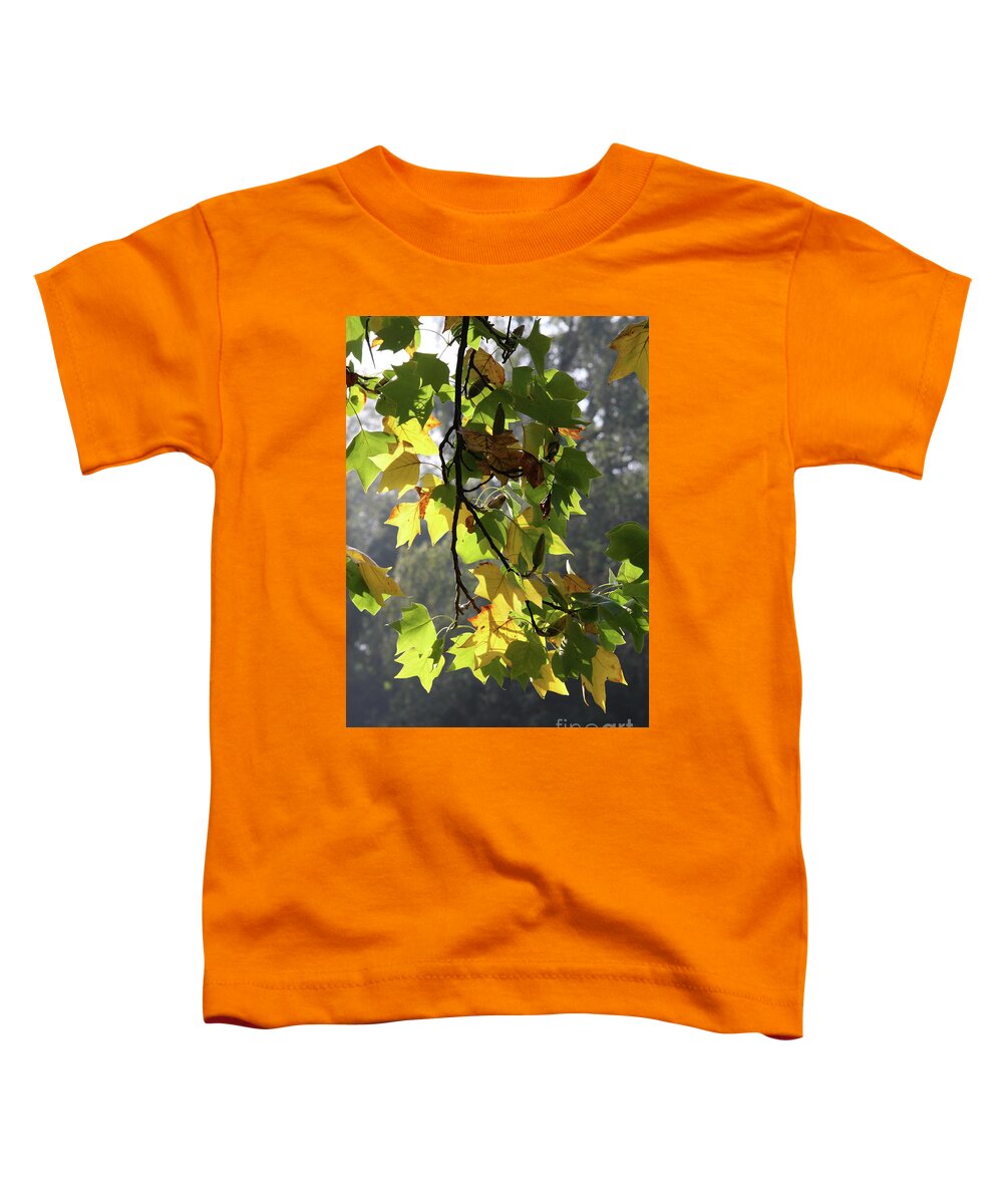 Autumn Toddler T-Shirt featuring the photograph Autumn Colors #1 by Christiane Schulze Art And Photography