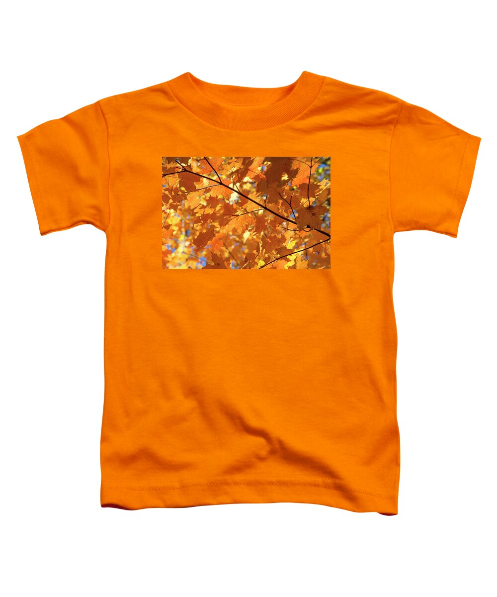 Leaves Toddler T-Shirt featuring the photograph Autumn Leaves #1 by David Stasiak