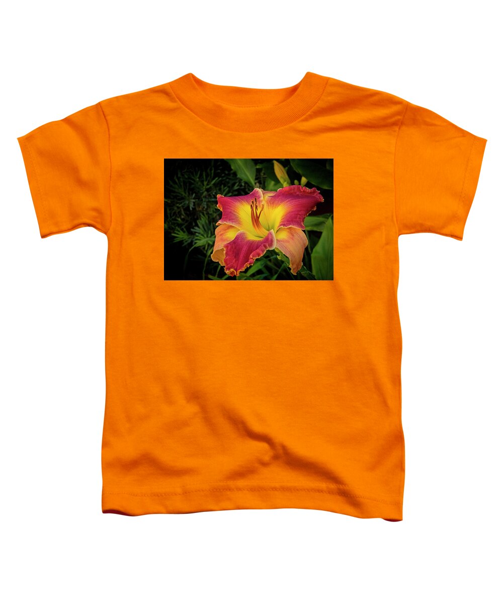 Fine Art Prints Toddler T-Shirt featuring the photograph Colorful Lily #1 by Dave Bosse