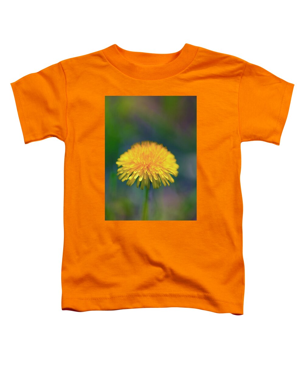 Dandelion Toddler T-Shirt featuring the photograph Dandelion #1 by Nancy Dunivin