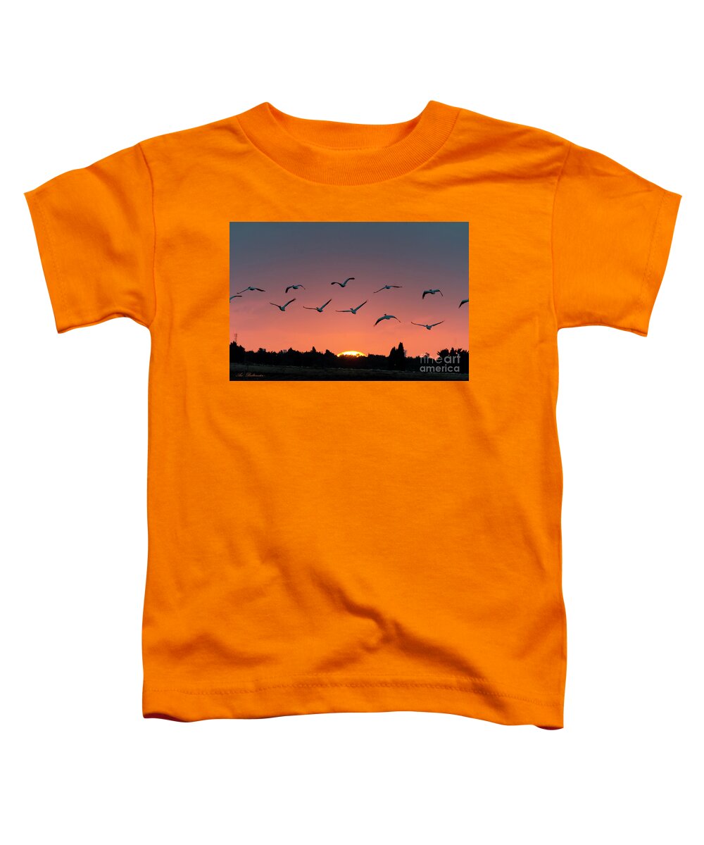 Sunset Toddler T-Shirt featuring the photograph Go west #2 by Arik Baltinester