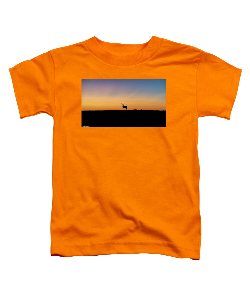 Point Reyes Toddler T-Shirt featuring the photograph Last Light #1 by Mike Ronnebeck