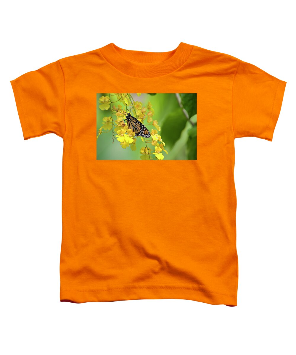 Monarch Toddler T-Shirt featuring the photograph Monarch Butterfly on Yellow Orchids #1 by Jill Lang