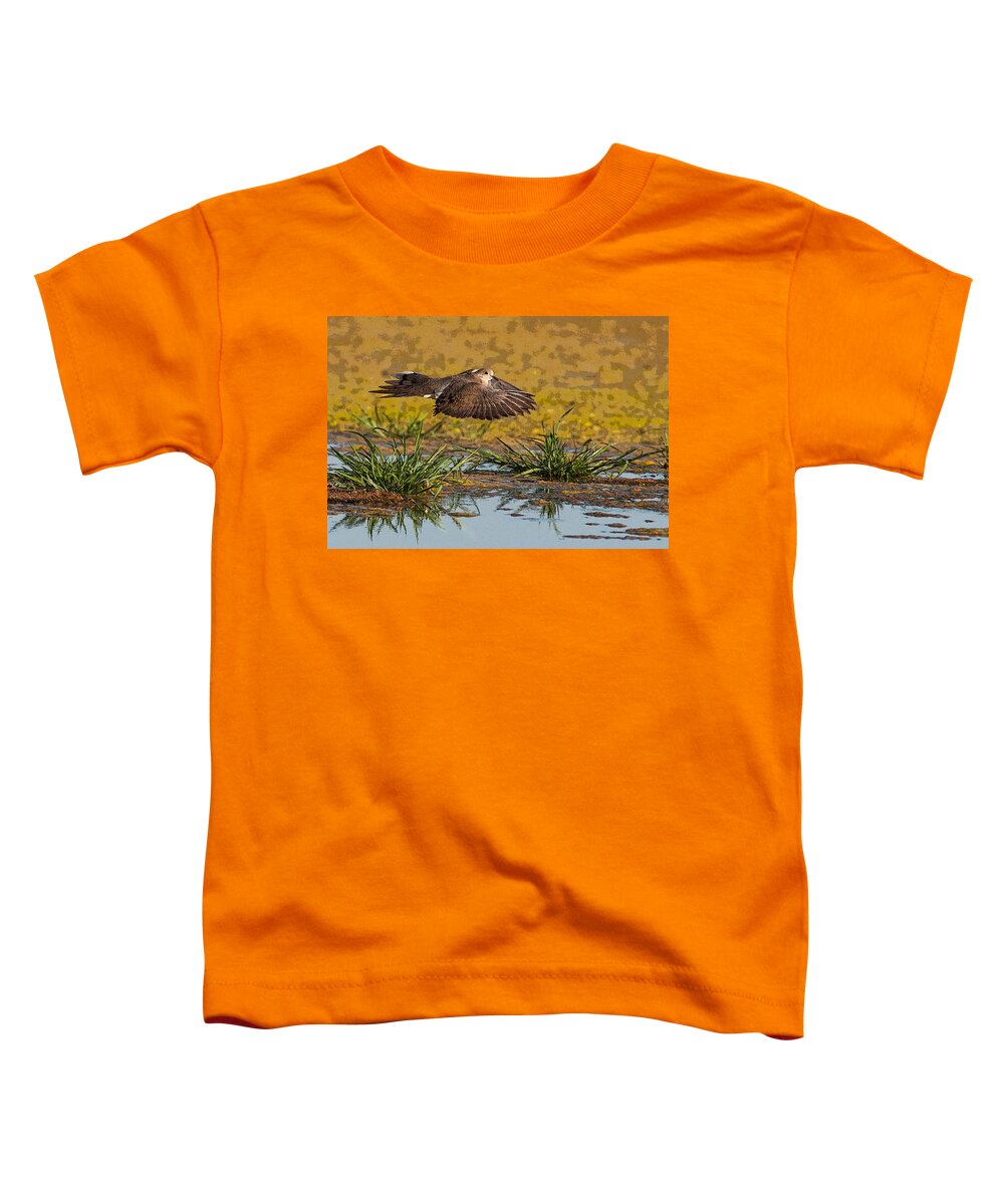 Mourning Dove Toddler T-Shirt featuring the photograph Mourning Dove in Flight #1 by Tam Ryan