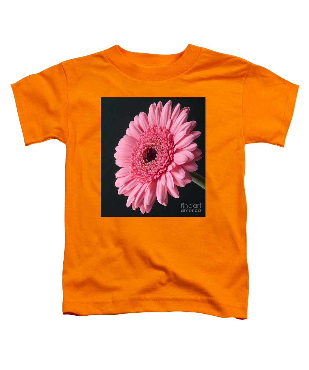 Gerbera Toddler T-Shirt featuring the photograph Pink Gerbera #1 by Colin Rayner