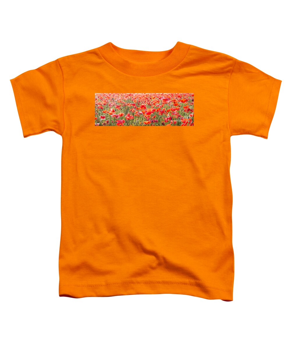 3x1 Toddler T-Shirt featuring the photograph Summer poetry by Hannes Cmarits