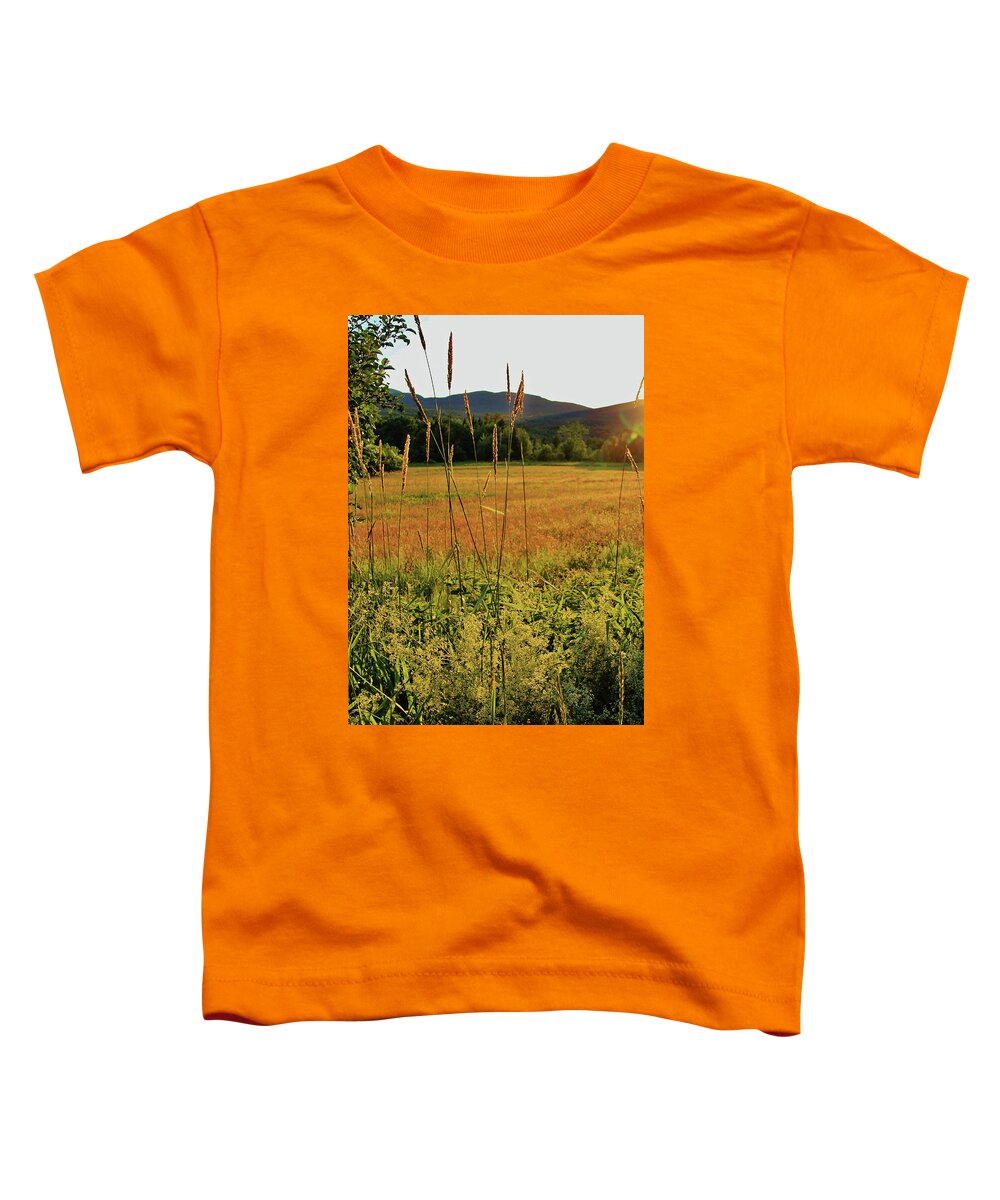 Sunset Toddler T-Shirt featuring the photograph Sunset Field #2 by Doolittle Photography and Art