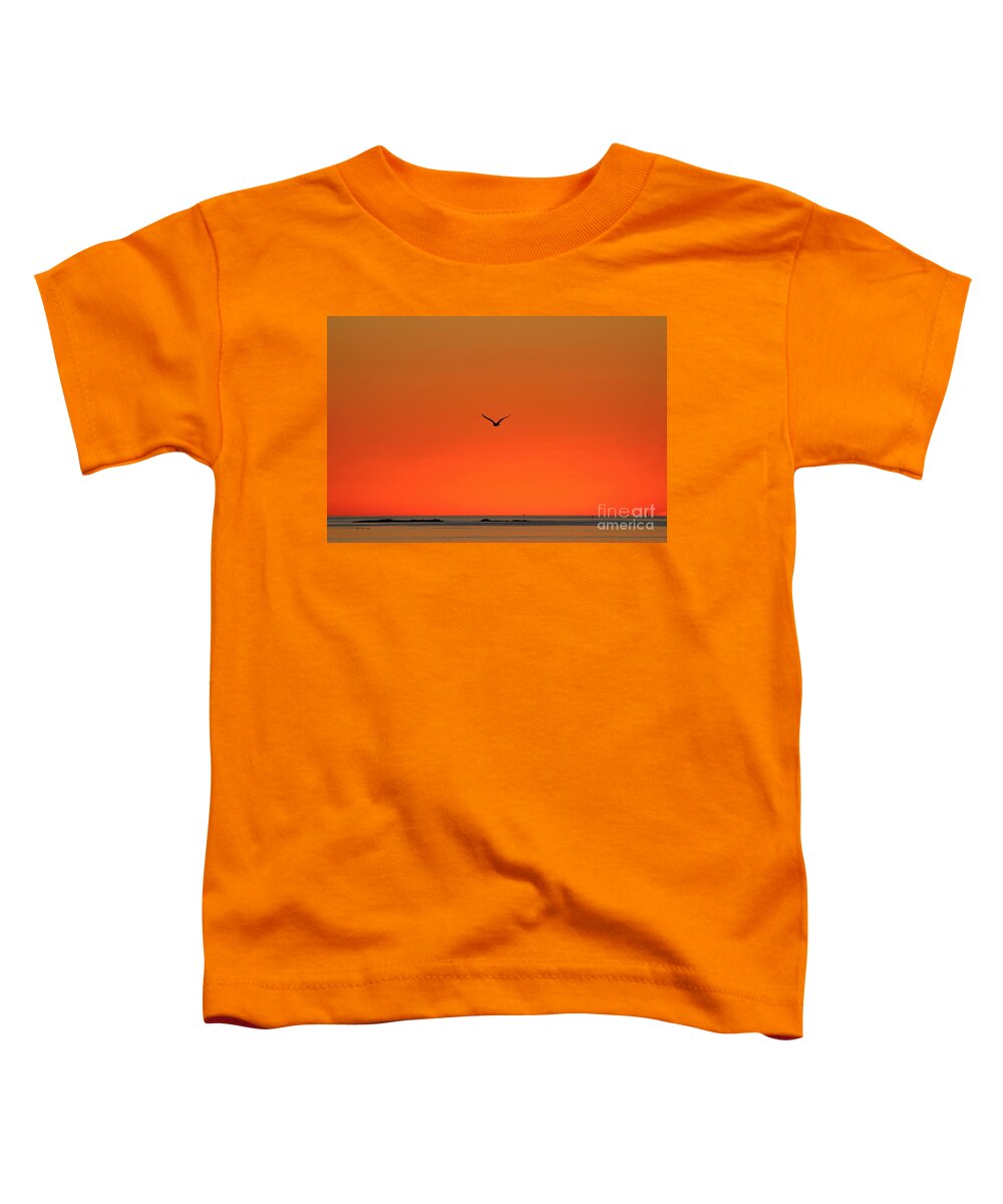 Peaches Point Toddler T-Shirt featuring the photograph Marblehead MA #16 by Donn Ingemie