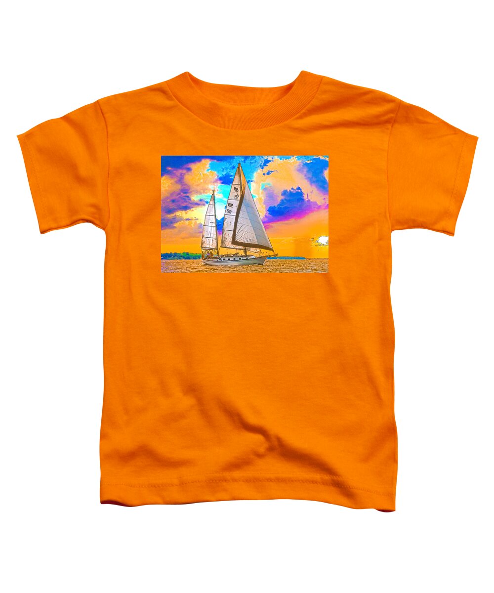 Sunset Toddler T-Shirt featuring the photograph Shannon 38 #2 by Richard Goldman