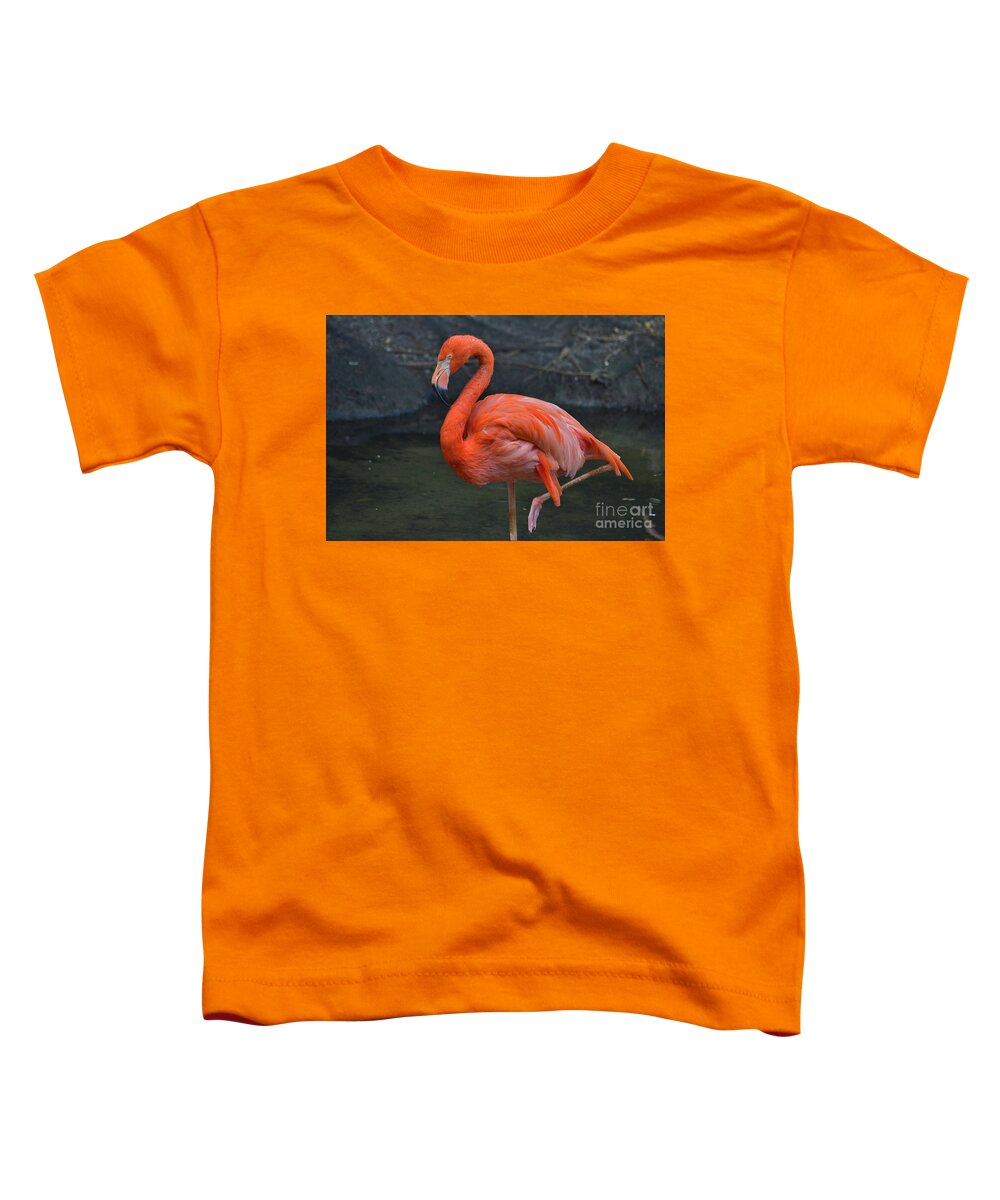 American Flamingo Toddler T-Shirt featuring the photograph 63- American Flamingo by Joseph Keane