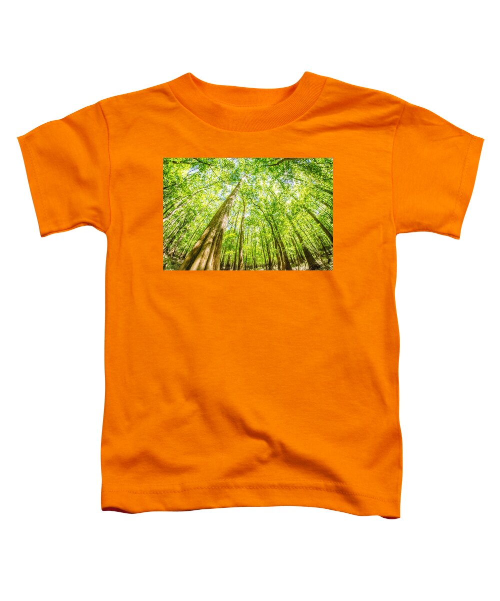 Carolina Toddler T-Shirt featuring the photograph cypress forest and swamp of Congaree National Park in South Caro #9 by Alex Grichenko