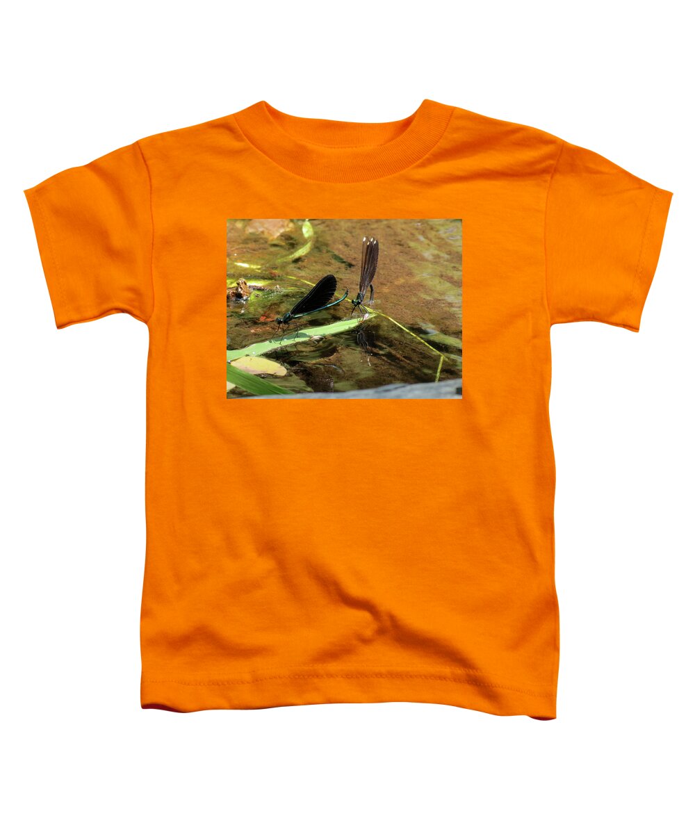 Damselfly Toddler T-Shirt featuring the photograph A pair alight by Azthet Photography