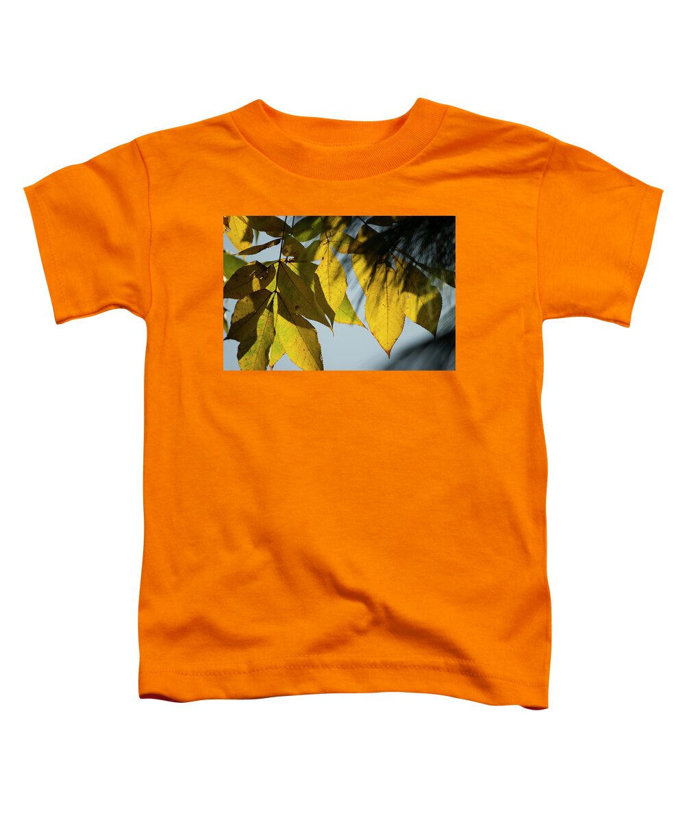 Fall Leaves Toddler T-Shirt featuring the photograph A Season Of Change by Mike Eingle