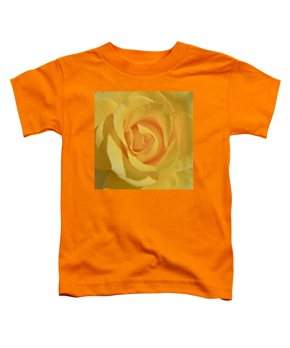 Photograph Or Yellow Rose Toddler T-Shirt featuring the photograph Amarillo by Gwyn Newcombe