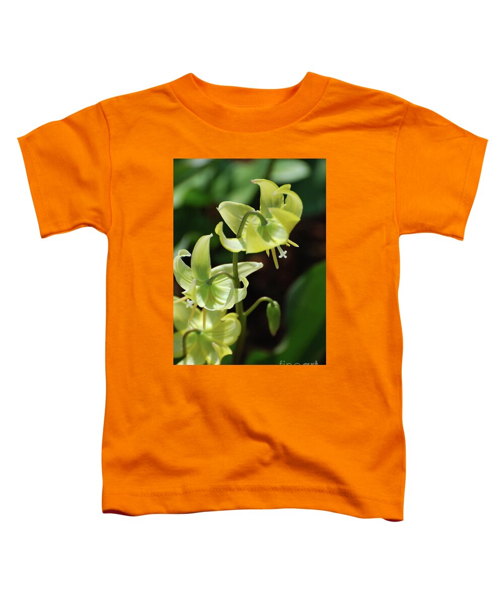 Trout-lily Toddler T-Shirt featuring the photograph Amazing Blooming Yellow Trout Lily in a Garden by DejaVu Designs