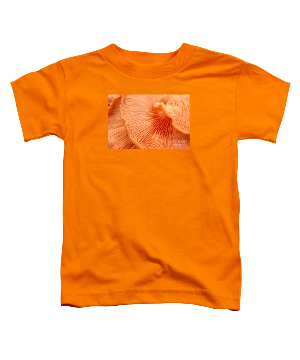 Pink Oysters Toddler T-Shirt featuring the photograph Arc of Life by Marilyn Cornwell