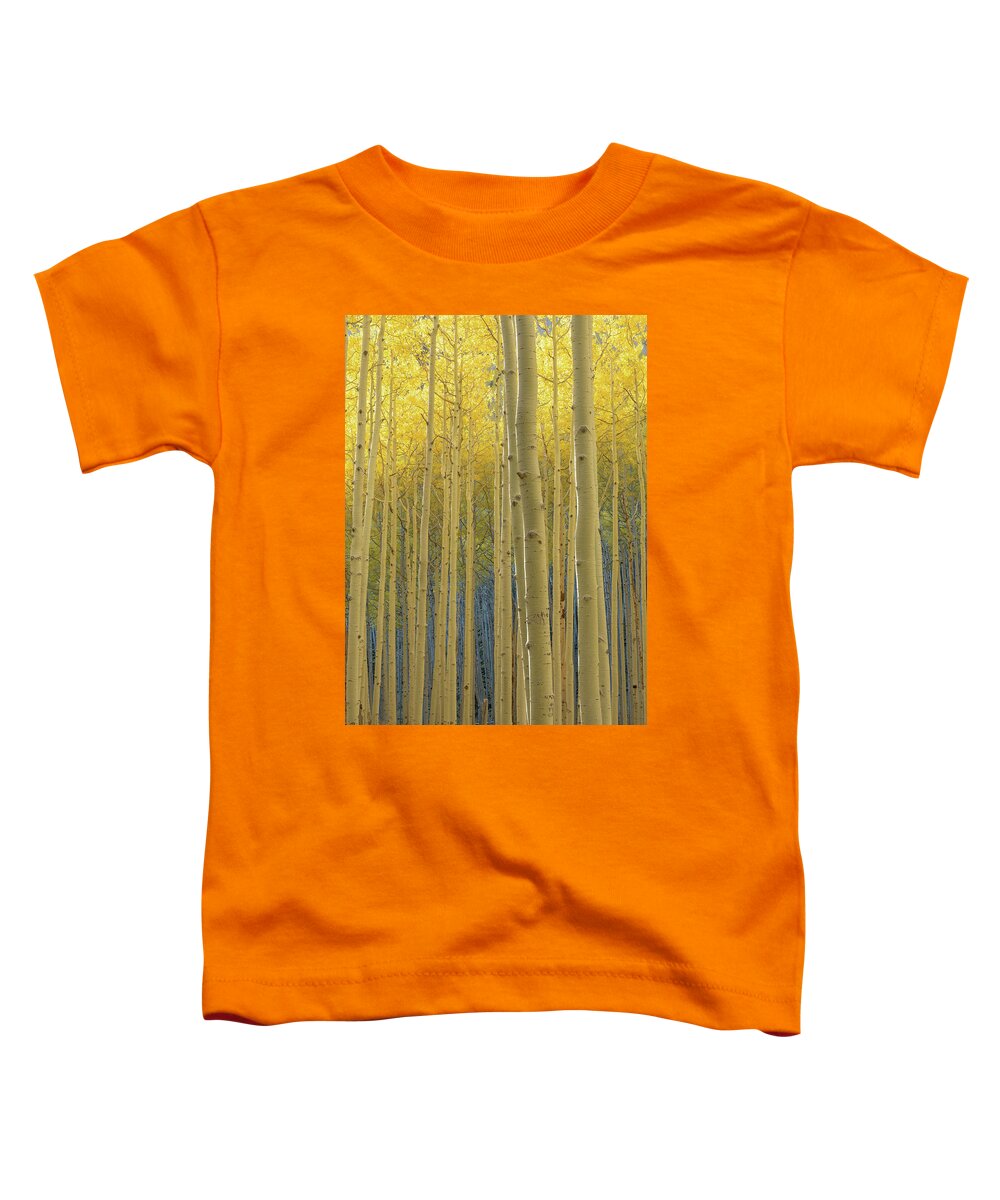 Aspens Toddler T-Shirt featuring the photograph Aspen Sentinels by Daniel Dean