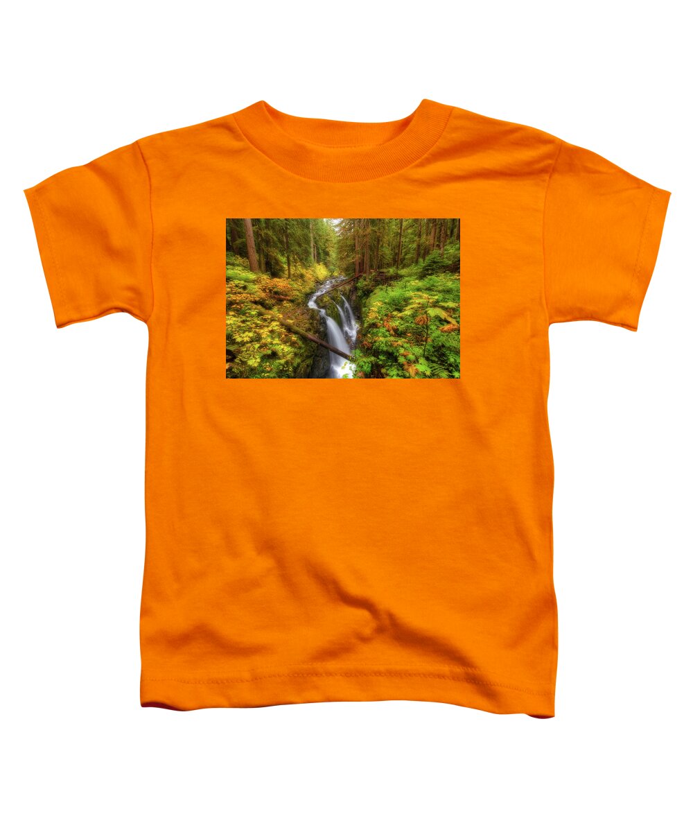 Sol Duc Toddler T-Shirt featuring the photograph Autumn at Sol Duc by Judi Kubes