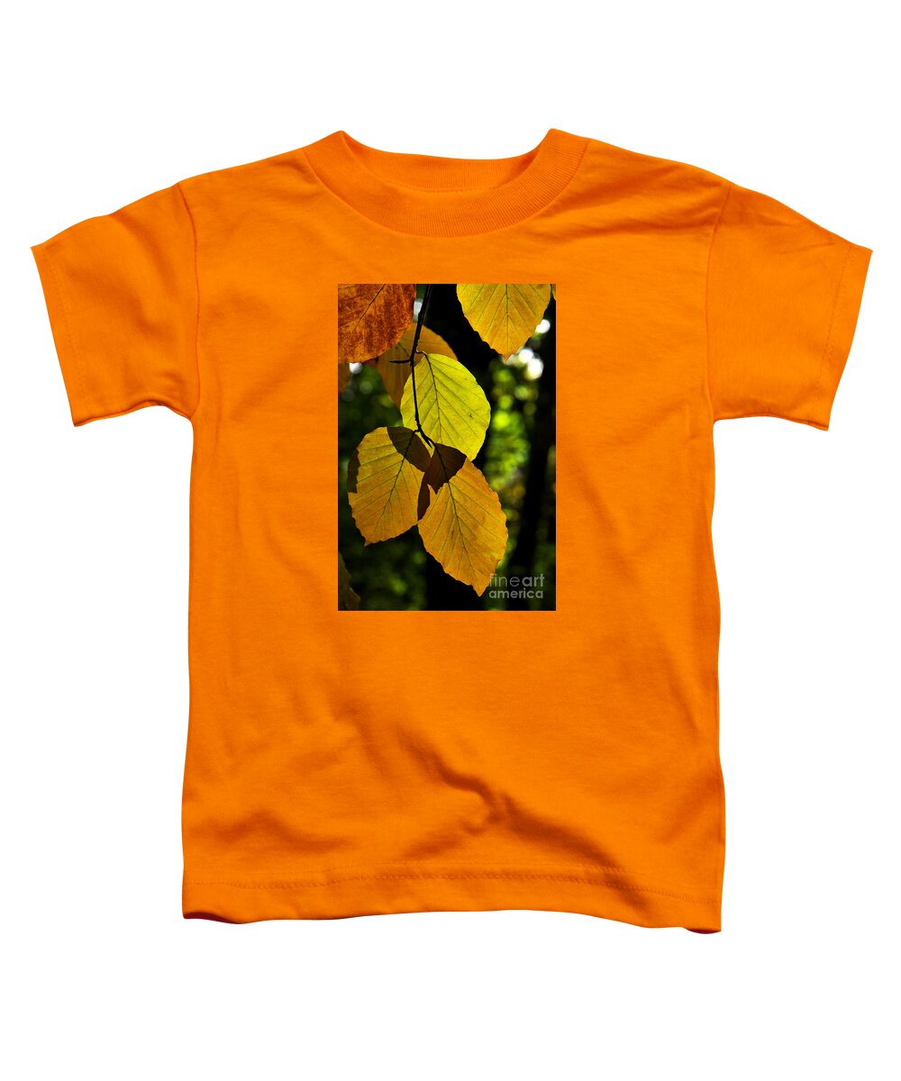 Woodland Toddler T-Shirt featuring the photograph Autumn Beech Tree Leaves by Martyn Arnold