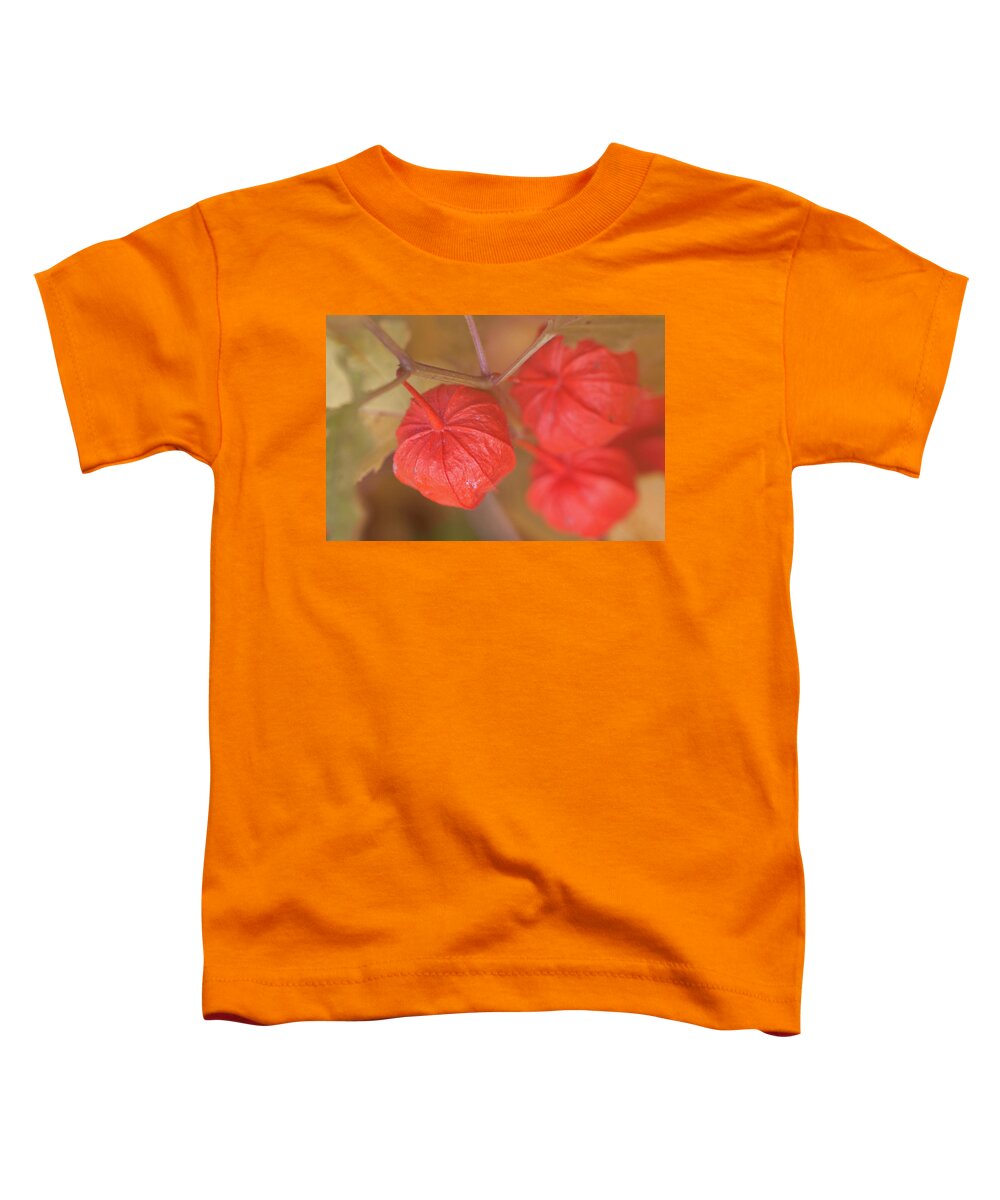 #jefffolger Toddler T-Shirt featuring the photograph Autumn Chinese Lantern by Jeff Folger