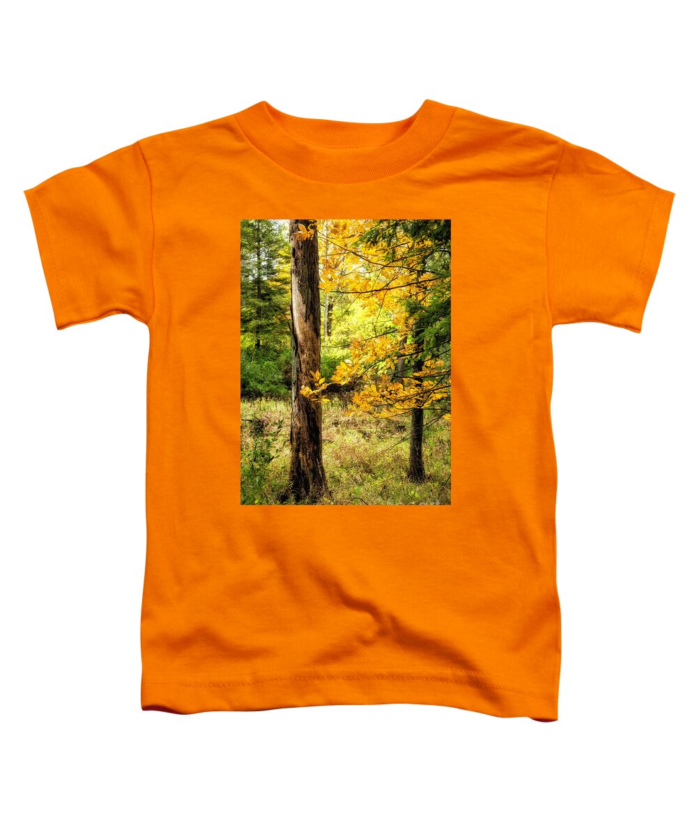 Autumn Toddler T-Shirt featuring the photograph Autumn Colors 6 by Timothy Hacker