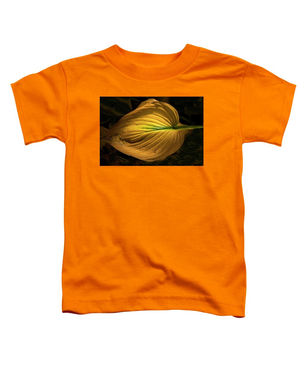 Clematis Vine Toddler T-Shirt featuring the photograph Autumn Hosta by Tom Singleton