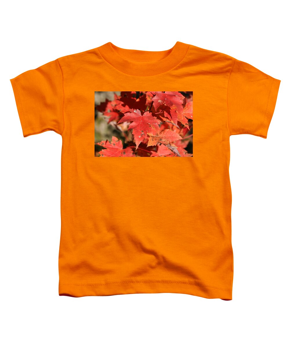 Autumn Toddler T-Shirt featuring the photograph Autumn Leaves 1 by George Jones