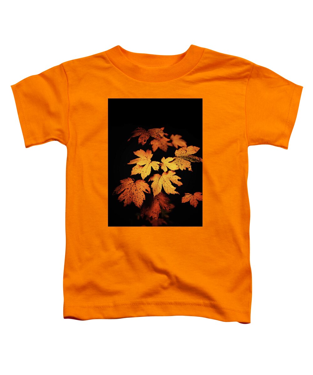 Autumn Toddler T-Shirt featuring the photograph Autumn Photo by Philippe Sainte-Laudy