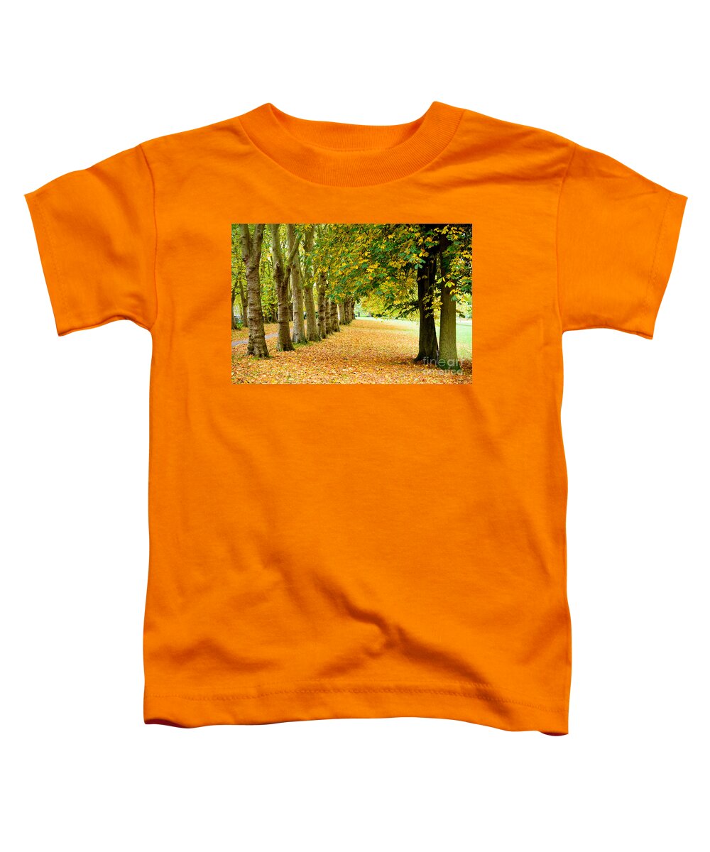 Autumn Toddler T-Shirt featuring the photograph Autumn walk by Colin Rayner