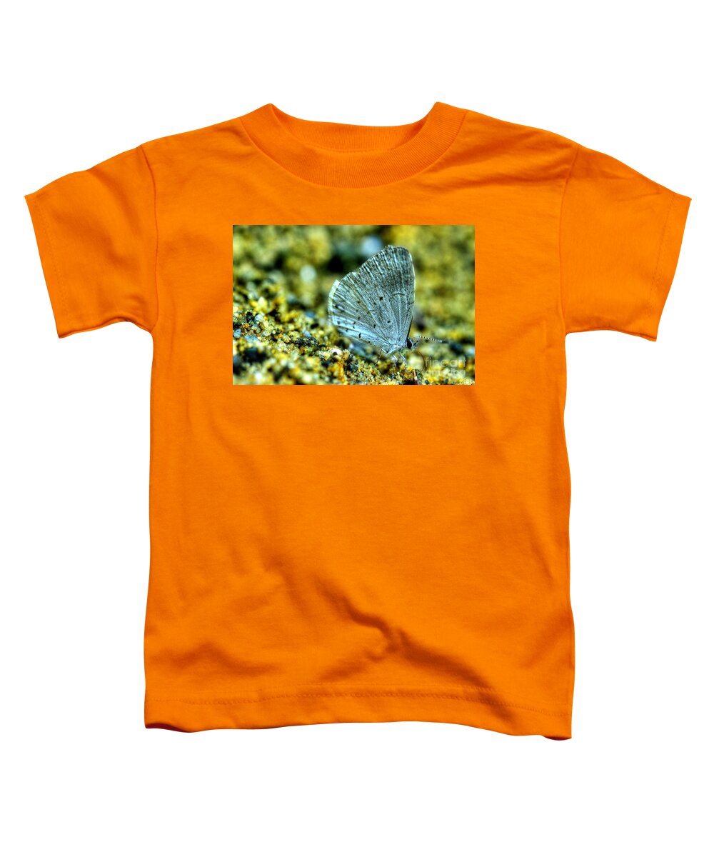 Light Blue Butterfly Toddler T-Shirt featuring the photograph Azure On The Sand by Michael Eingle