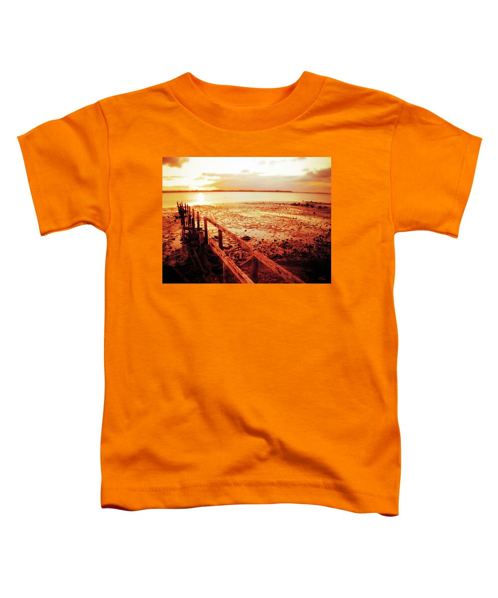 Landscape Toddler T-Shirt featuring the photograph Beach Structure Haze by Michael Blaine