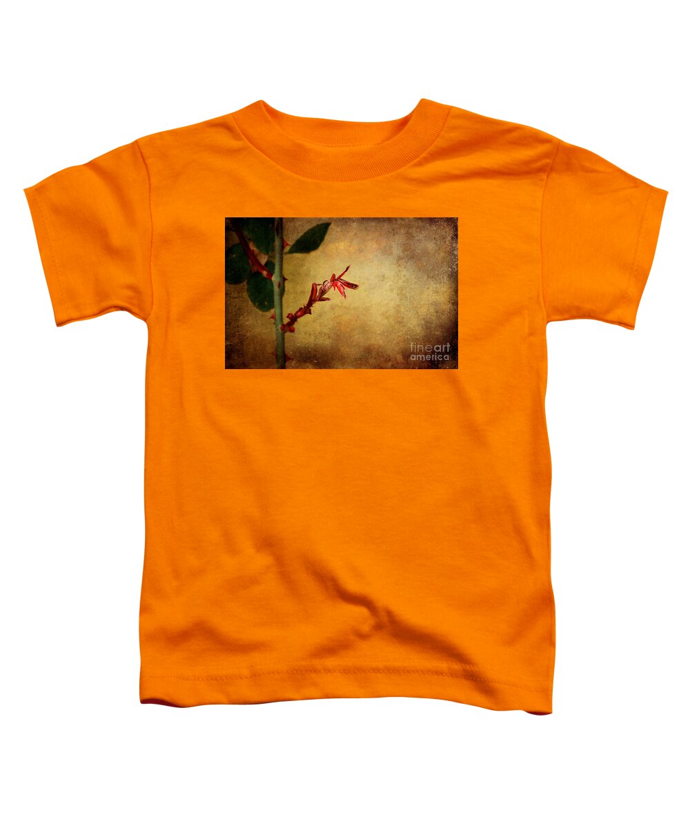 Digital Art Toddler T-Shirt featuring the photograph Becomes the Rose by Ellen Cotton