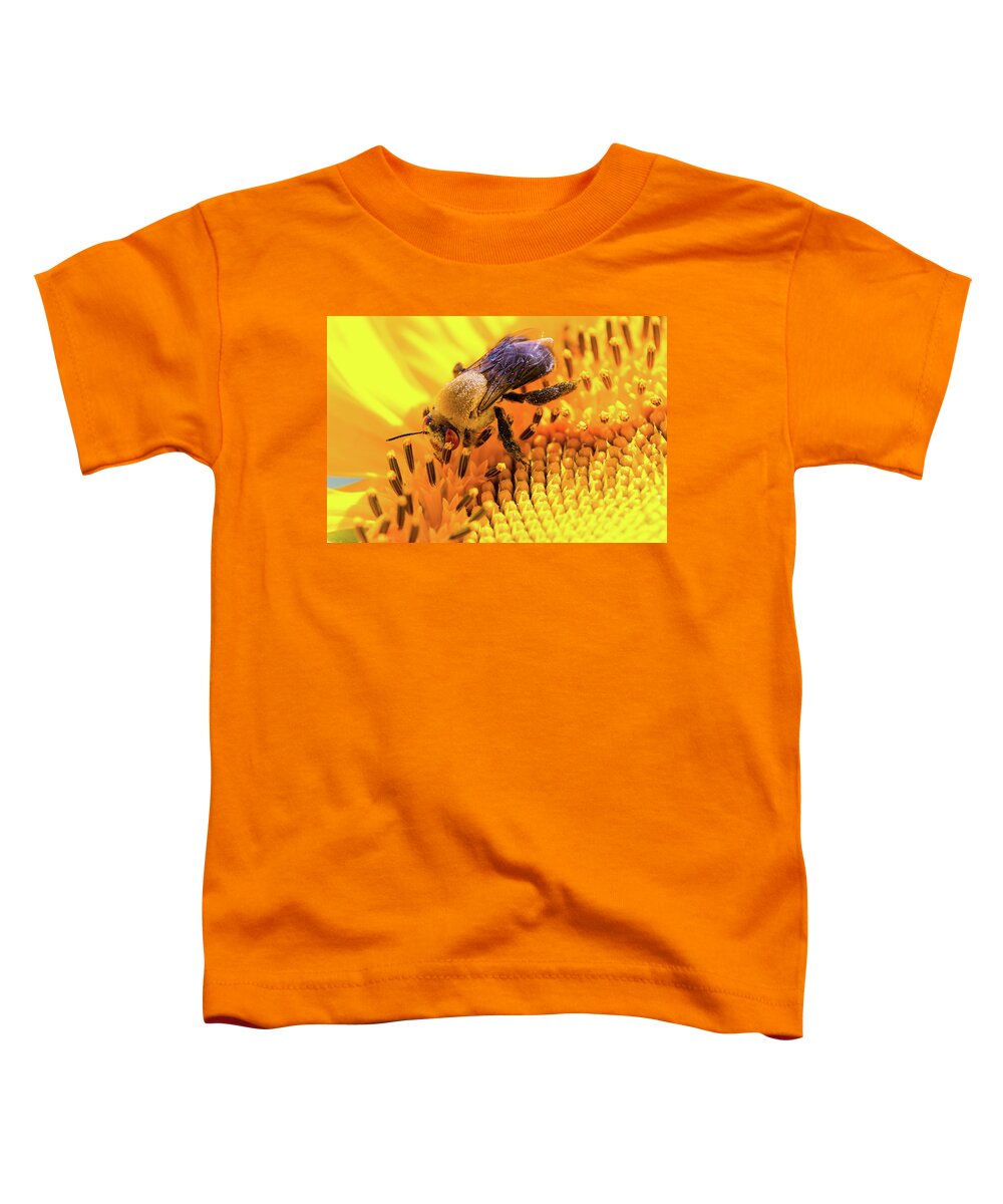 Antennae Toddler T-Shirt featuring the photograph Bee and Sunflower by SR Green