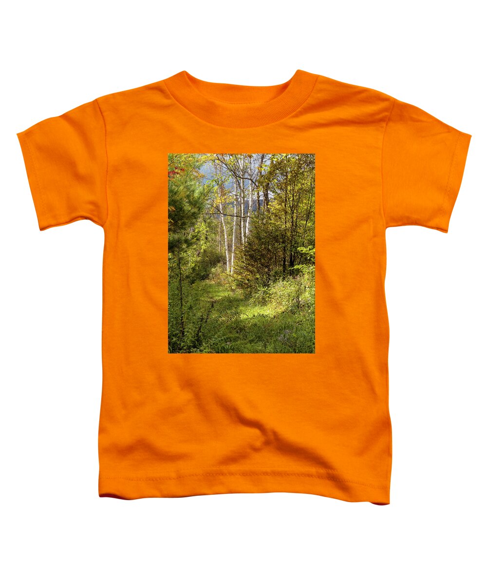 Autumn Birches Toddler T-Shirt featuring the photograph Birches On An Autumn Path by Tom Singleton
