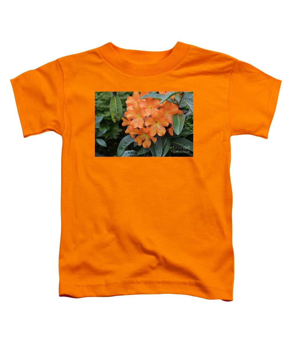 Rhododendron Toddler T-Shirt featuring the photograph Blooming Orange Rhododendron Bush in Full Bloom by DejaVu Designs