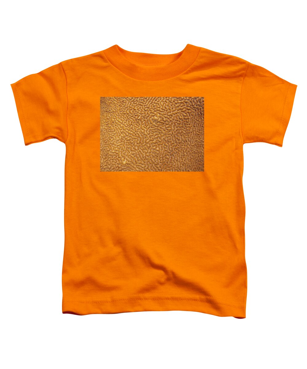 Texture Toddler T-Shirt featuring the photograph Brain Coral 47 by Michael Fryd