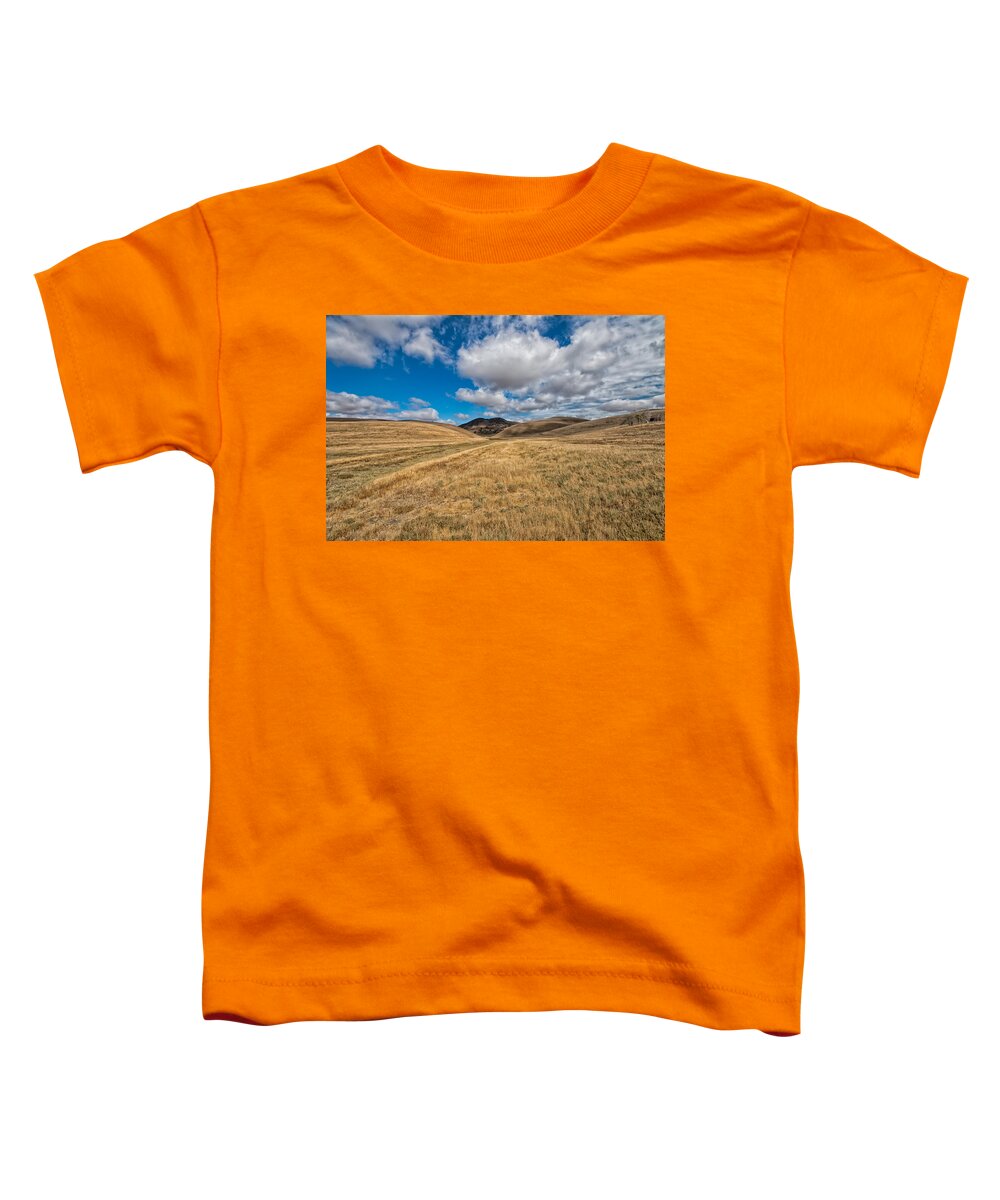 Brushy Peak Toddler T-Shirt featuring the photograph Brushy Peak by Robin Mayoff