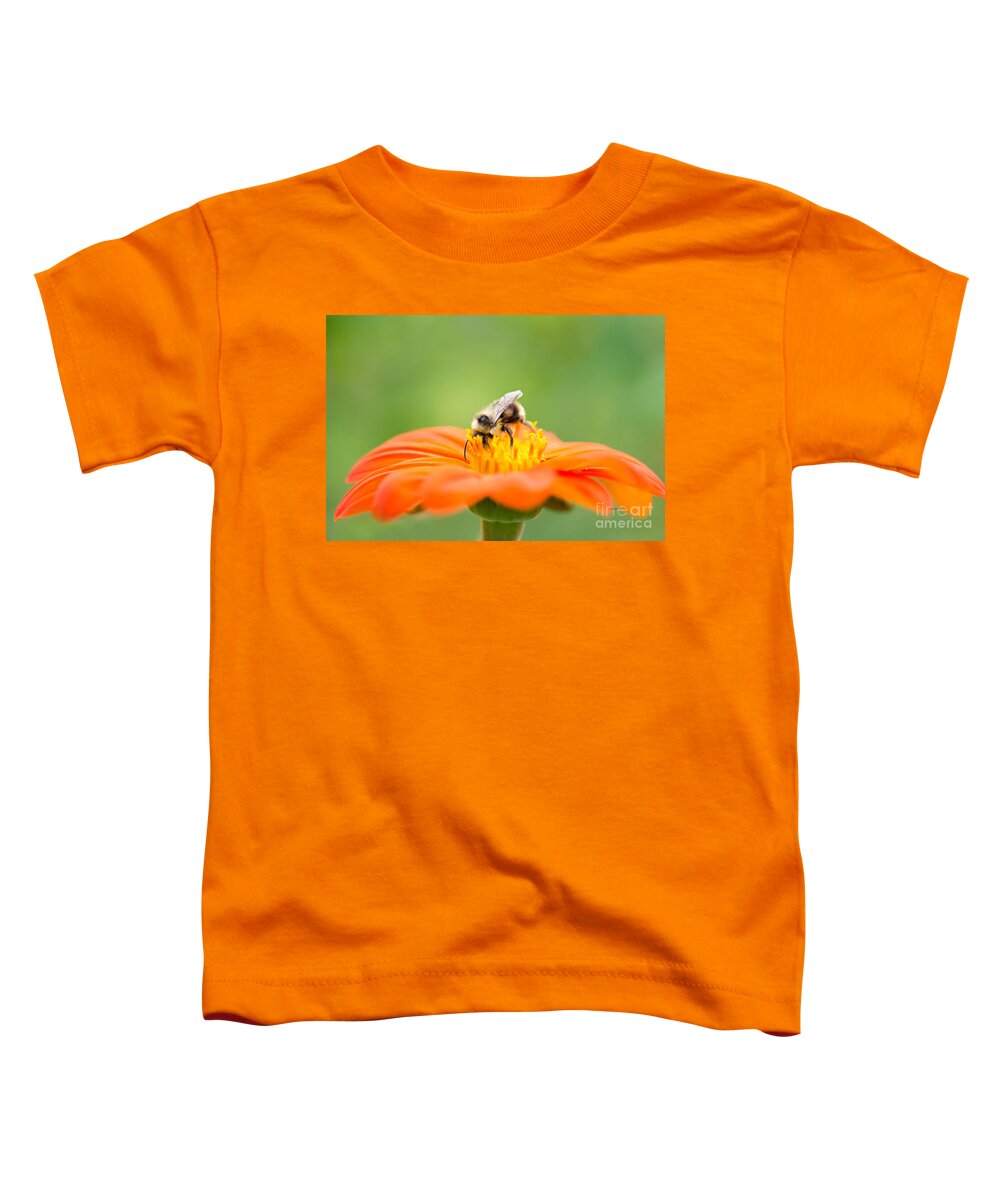 Bee Toddler T-Shirt featuring the photograph Busy Bee by Susan Garver