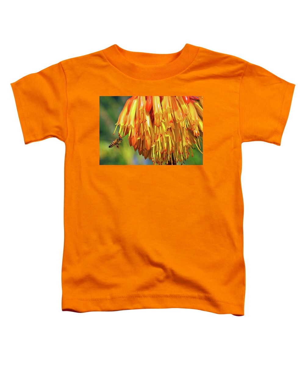 Nature Toddler T-Shirt featuring the photograph Busy Bee by Rochelle Berman