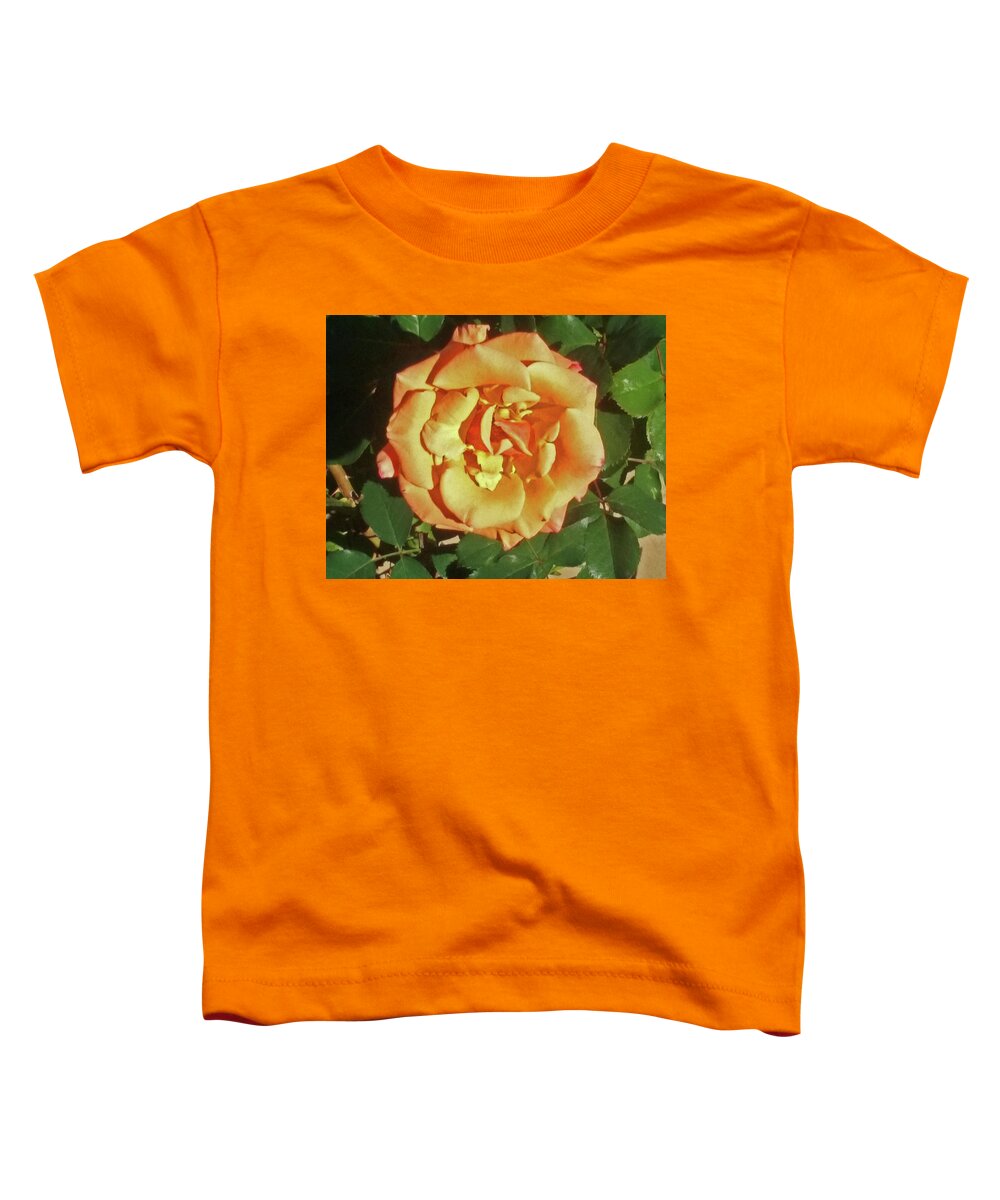 Flower Toddler T-Shirt featuring the photograph Buttercream Rose For Your Valentine by Jay Milo